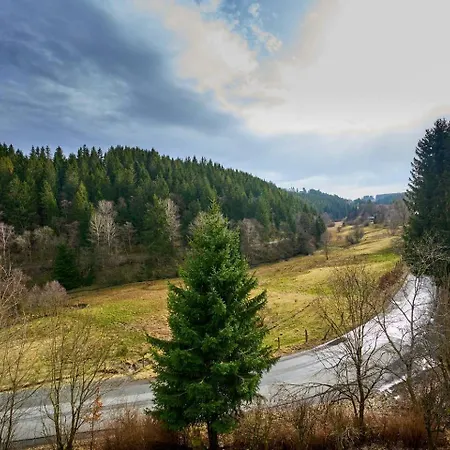 Modern, Gemuetlich, Panorama, Pool & Sauna, Netflix Winterberg